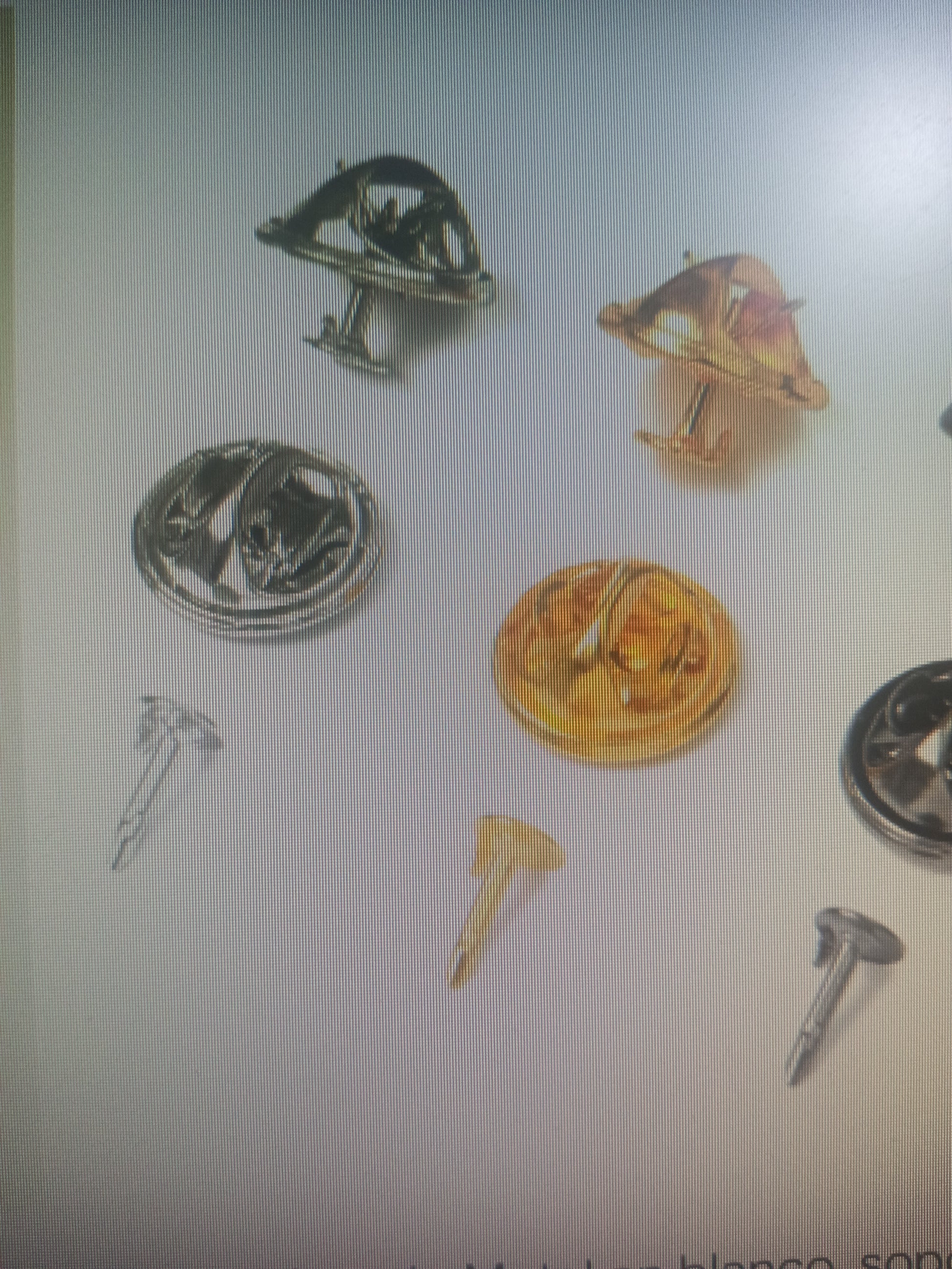 BROCHES DE INSIGNIA