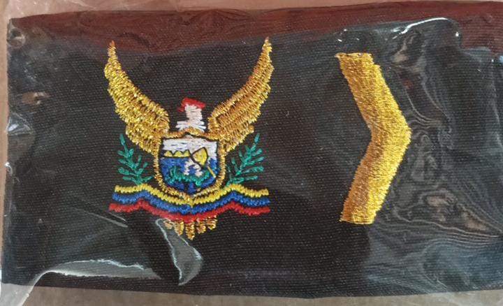 BICHUNGAS / PALAS
