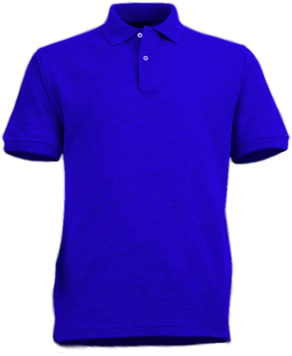 CAMISA  POLO T.PIQUE