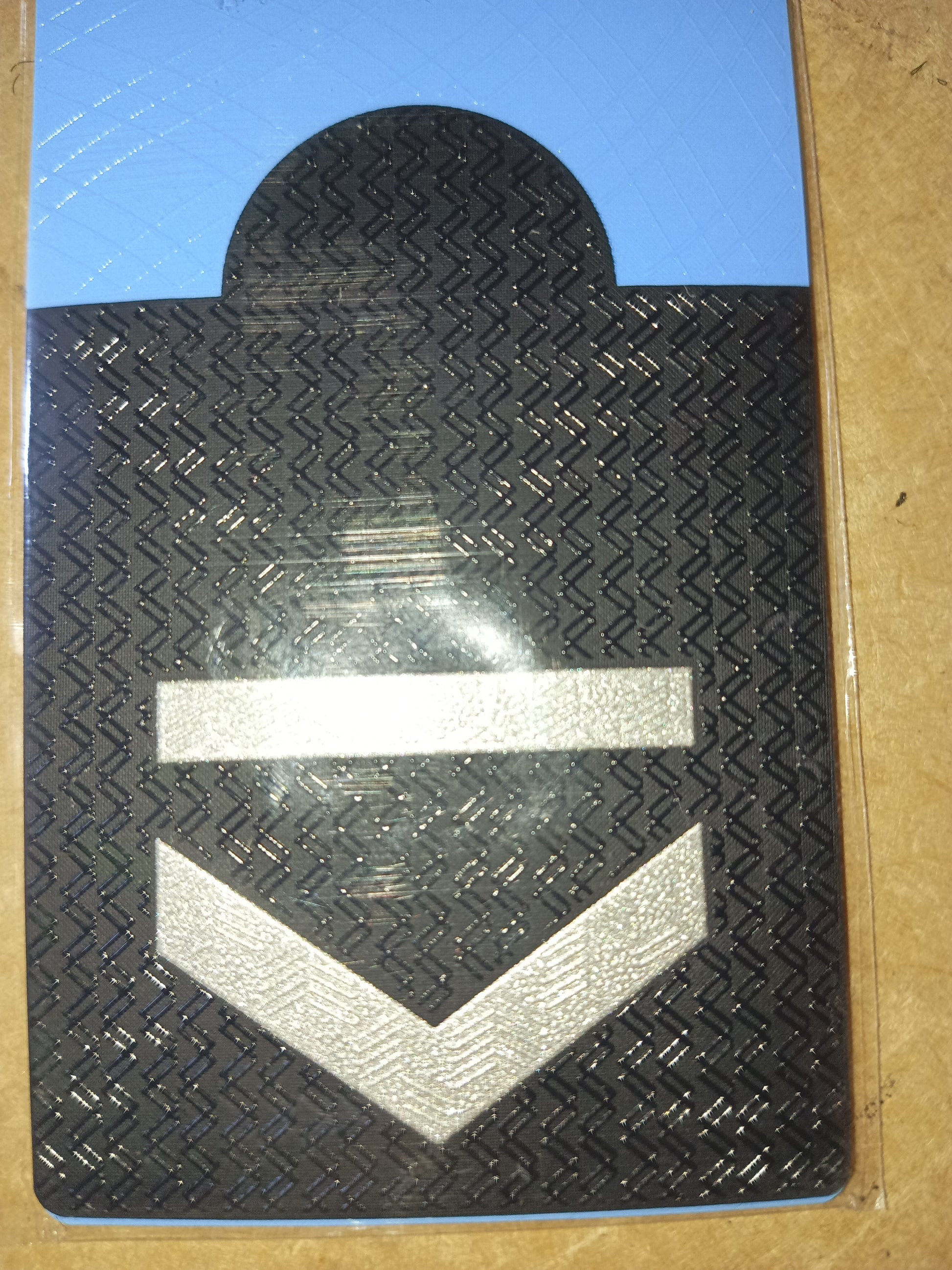 BICHUNGAS PARCHES  HOLOFEX RANGO AGENTE DE CONTROL METROPOLITANO DOS