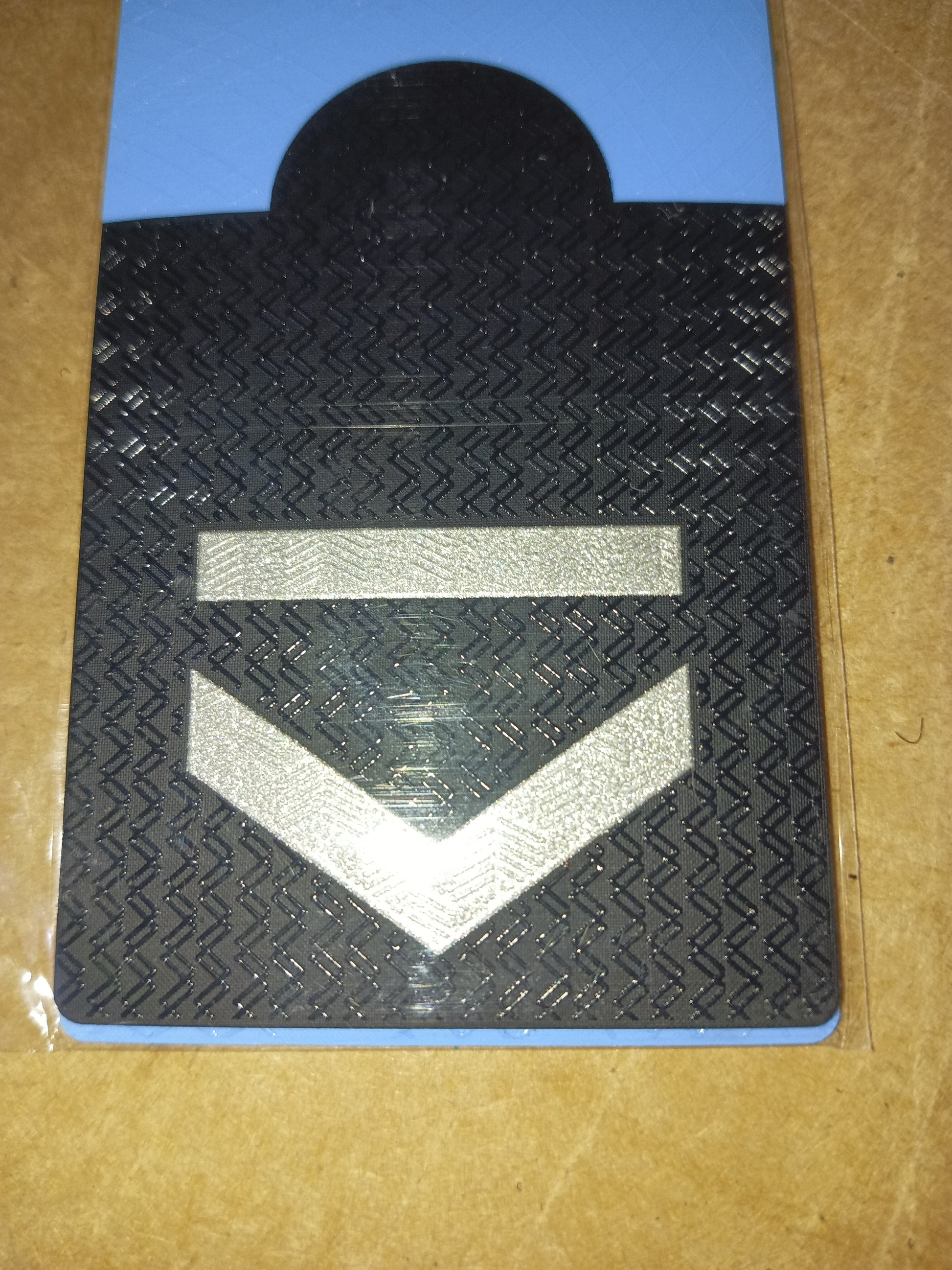 BICHUNGAS PARCHES  HOLOFEX RANGO AGENTE DE CONTROL METROPOLITANO DOS